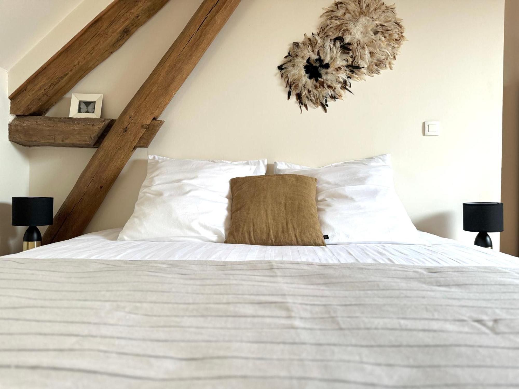 Le Moulin D Olivet Bed and Breakfast Orbigny Buitenkant foto