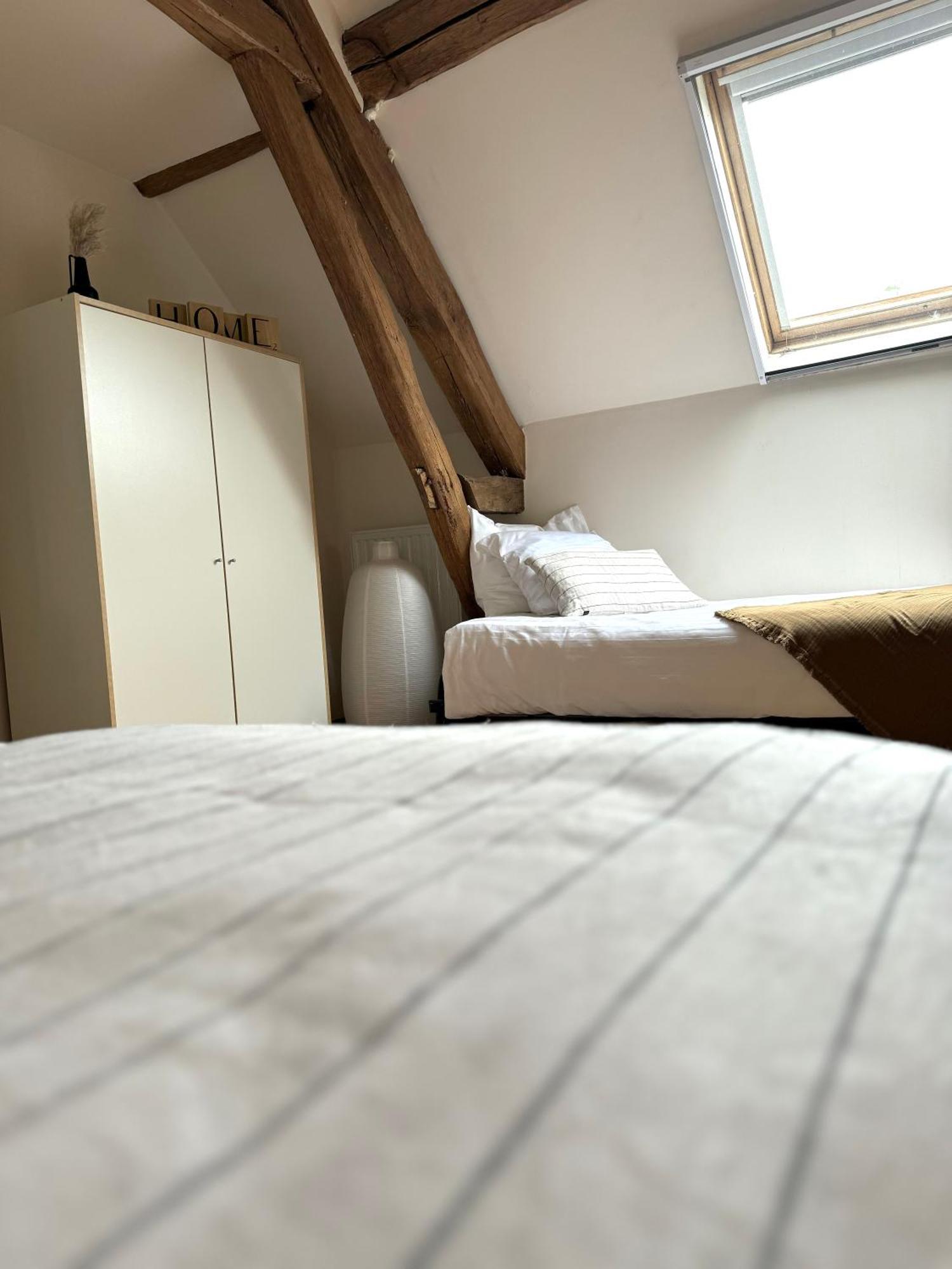 Le Moulin D Olivet Bed and Breakfast Orbigny Buitenkant foto