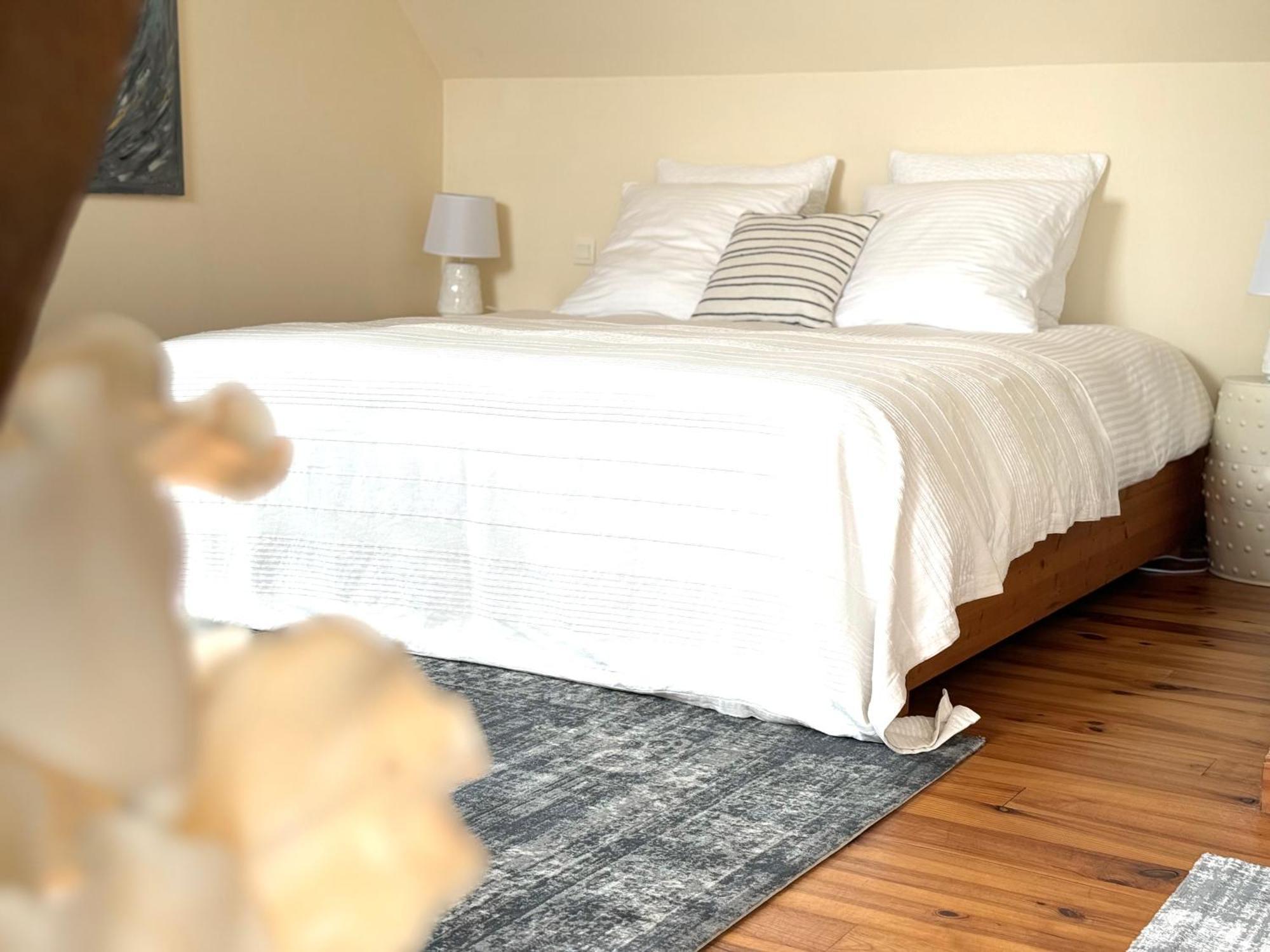 Le Moulin D Olivet Bed and Breakfast Orbigny Buitenkant foto