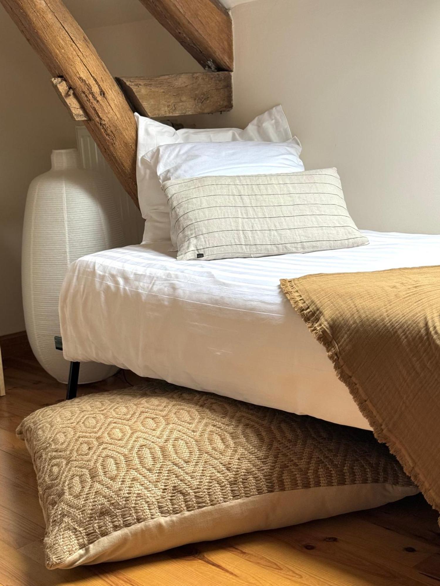 Le Moulin D Olivet Bed and Breakfast Orbigny Buitenkant foto