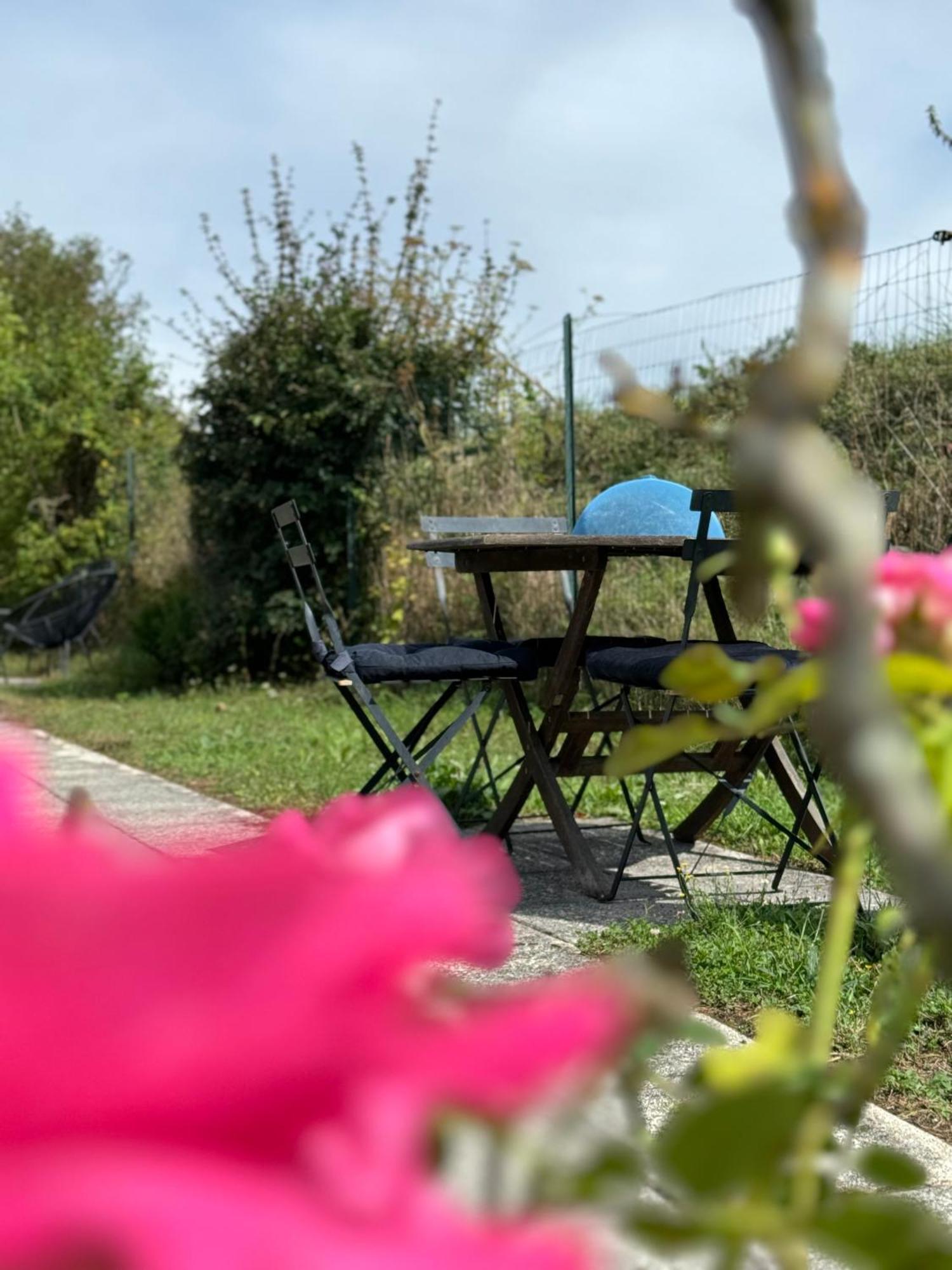 Le Moulin D Olivet Bed and Breakfast Orbigny Buitenkant foto