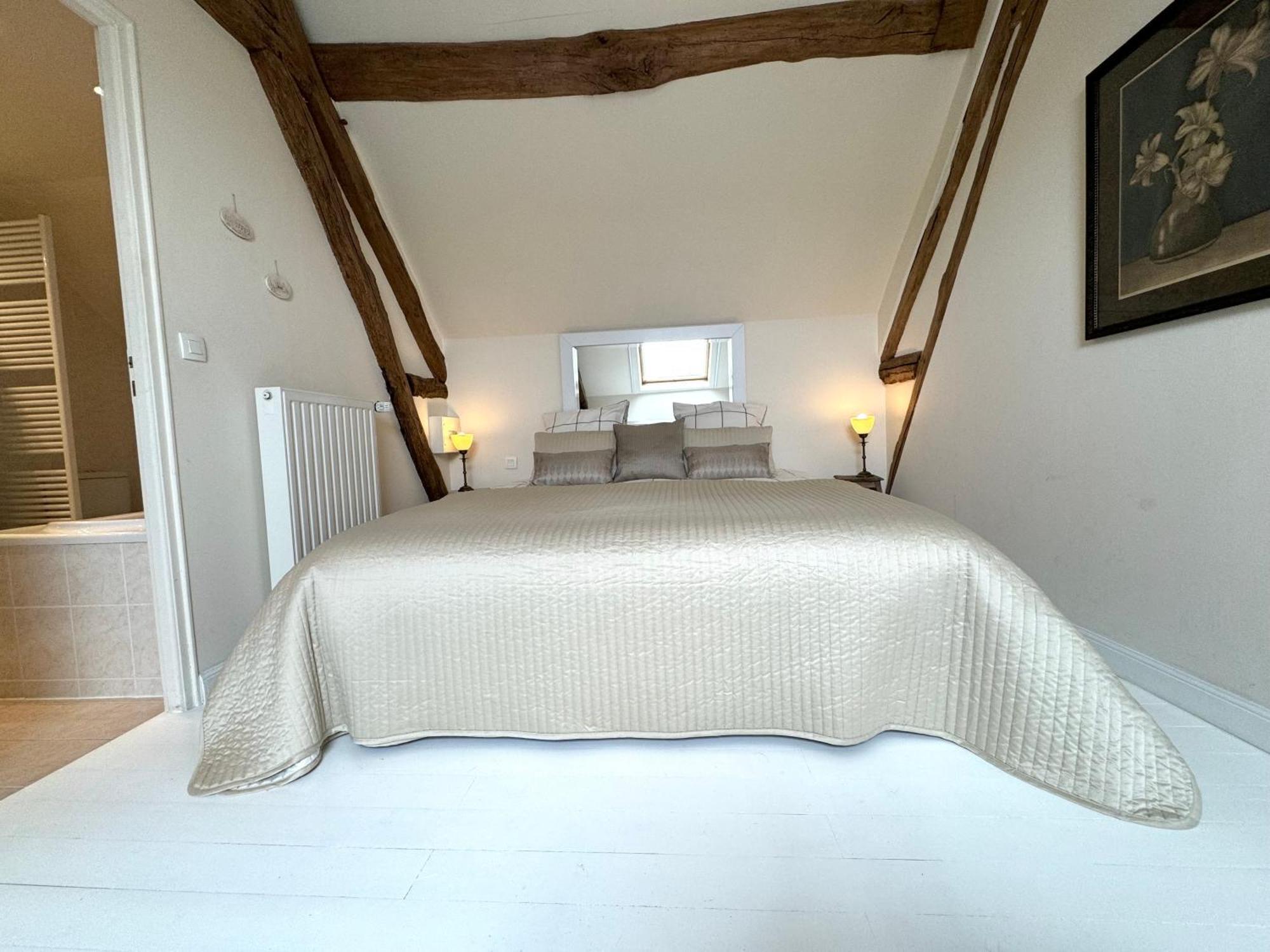 Le Moulin D Olivet Bed and Breakfast Orbigny Buitenkant foto