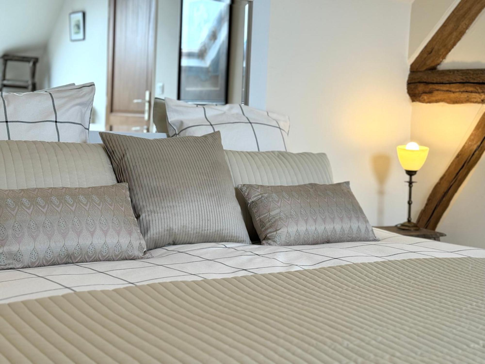 Le Moulin D Olivet Bed and Breakfast Orbigny Buitenkant foto