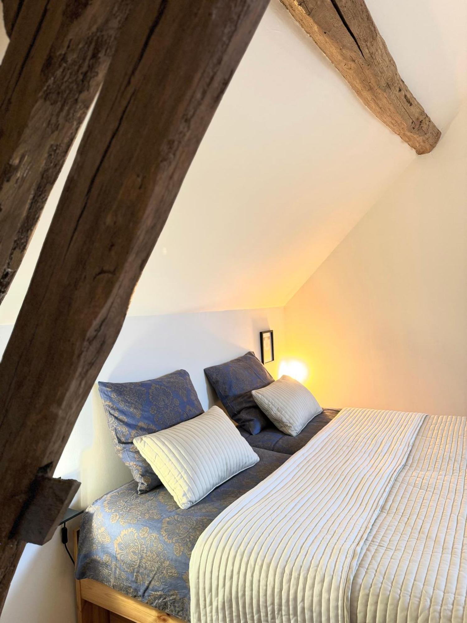 Le Moulin D Olivet Bed and Breakfast Orbigny Buitenkant foto